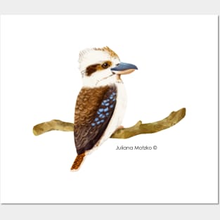 Kookaburra Bird Realistic Illustration Posters and Art